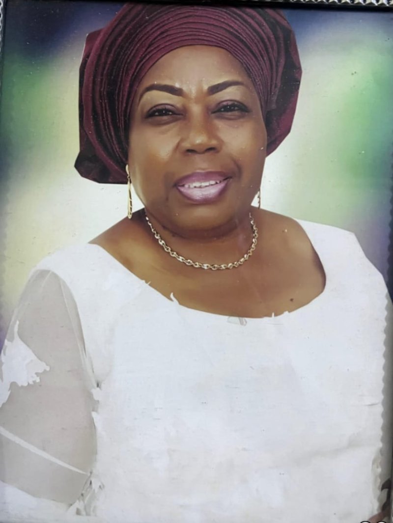 Profile photo of Olushola Shirley Onabiyi