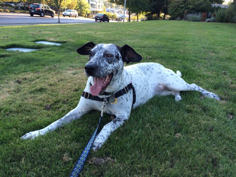 Profile photo of Lucy Lou Ganster