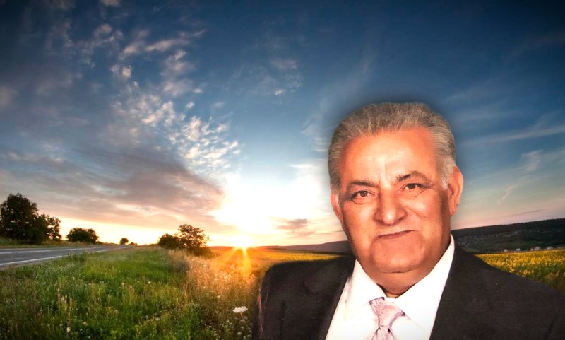 Profile photo of Mohsen Raihani
