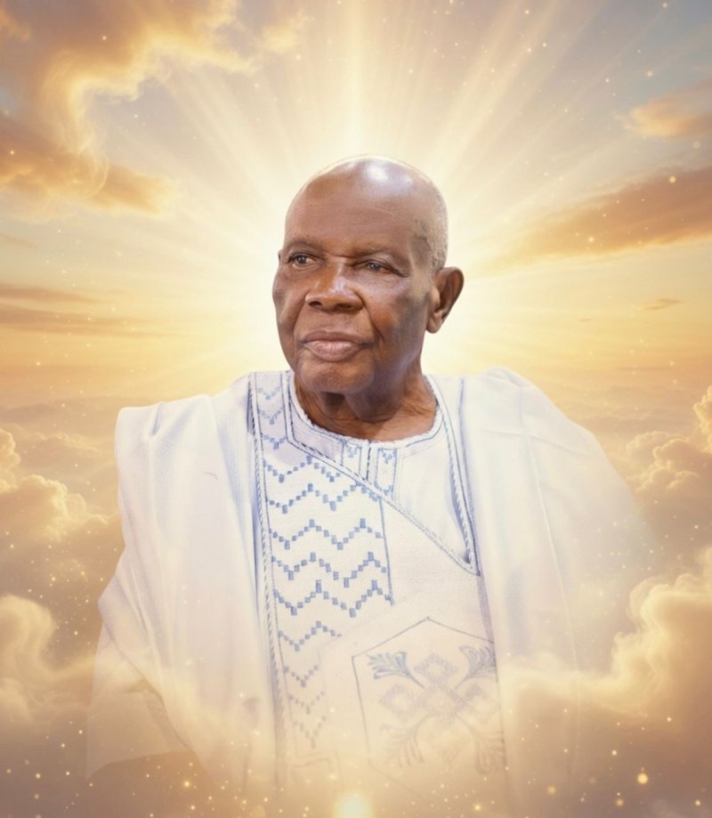 Profile photo of Akinpelu Benjamin Akinola
