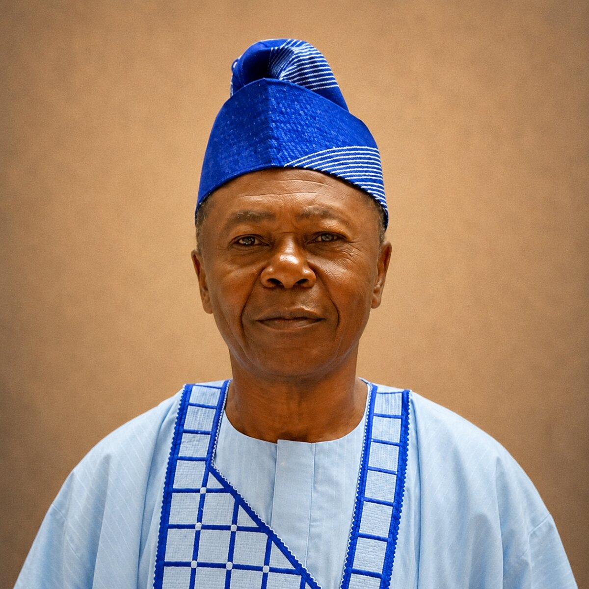 Profile photo of John Olufunmi Osho